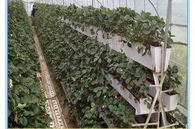 衡水养殖笼具出售